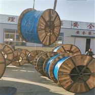 信号电缆PTYA48*1.0