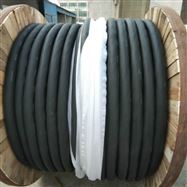 300/500V防水橡套软电缆