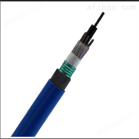 ������ȼ����MGTSV-24о��ģ����